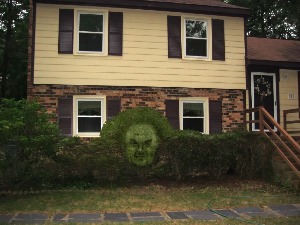 Who did this to my house??